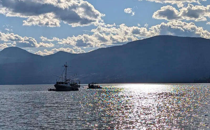 Sunlight on Okanagan Lake