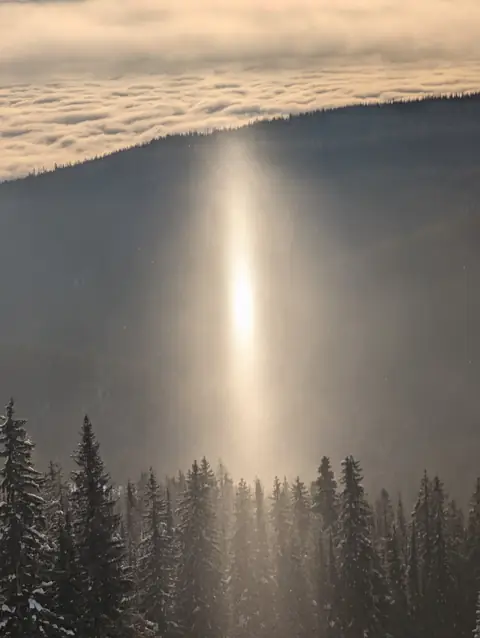 Column of morning light over a snowy forest, SilverStar Mountain Resort, near Vernon, B.C., January 26, 2025
